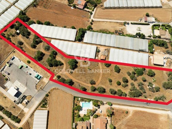 terreno agricolo in vendita a Santa Croce Camerina
