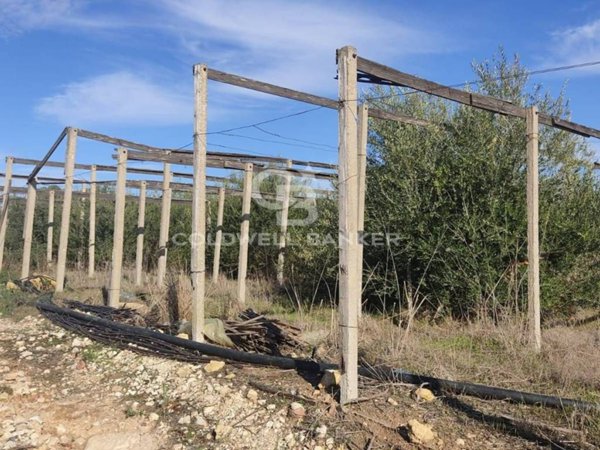 terreno agricolo in vendita a Santa Croce Camerina