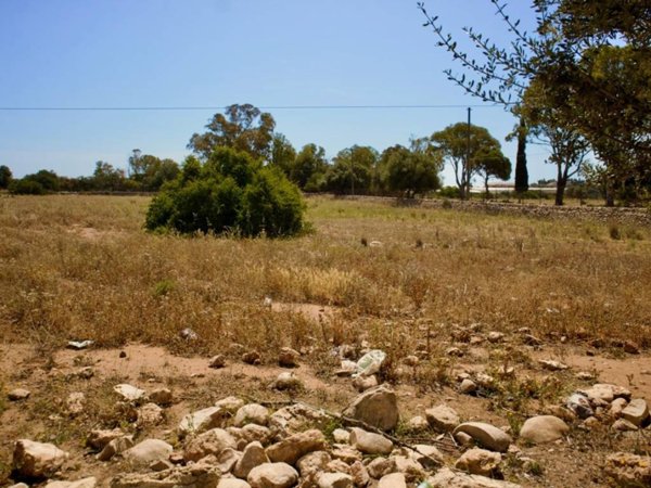 terreno agricolo in vendita a Santa Croce Camerina in zona Casuzze/Kaukana