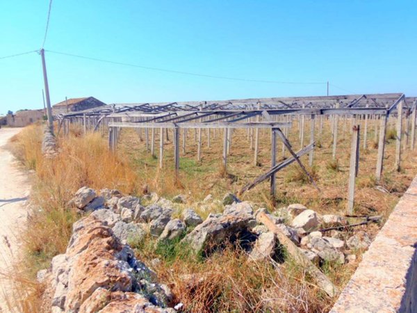 terreno agricolo in vendita a Santa Croce Camerina