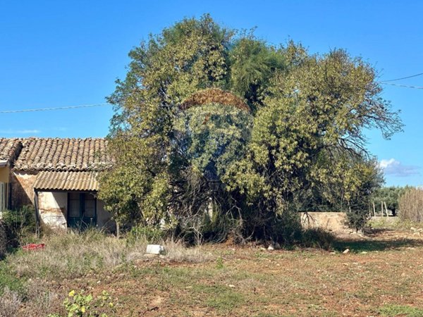casa indipendente in vendita a Santa Croce Camerina in zona Punta Secca