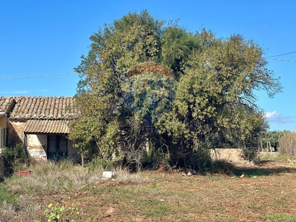 casa indipendente in vendita a Santa Croce Camerina in zona Punta Secca