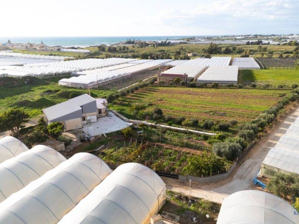 casa indipendente in vendita a Santa Croce Camerina in zona Punta Secca