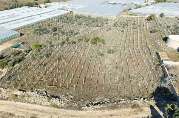 casa indipendente in vendita a Santa Croce Camerina in zona Punta Braccetto