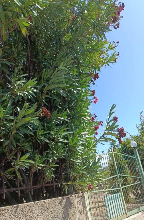 casa indipendente in vendita a Santa Croce Camerina