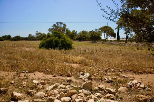 terreno agricolo in vendita a Santa Croce Camerina in zona Biddemi