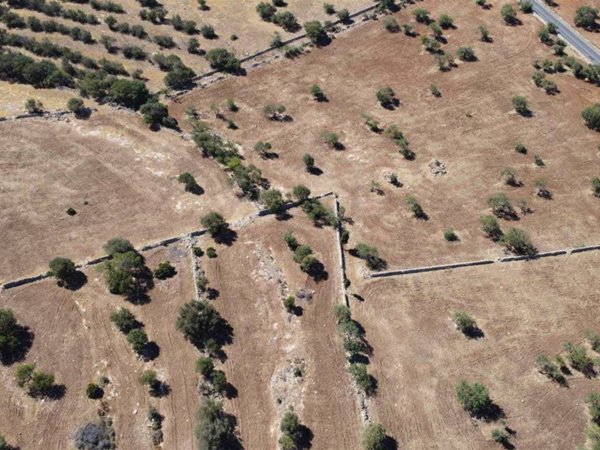 terreno agricolo in vendita a Santa Croce Camerina in zona Torre di Mezzo