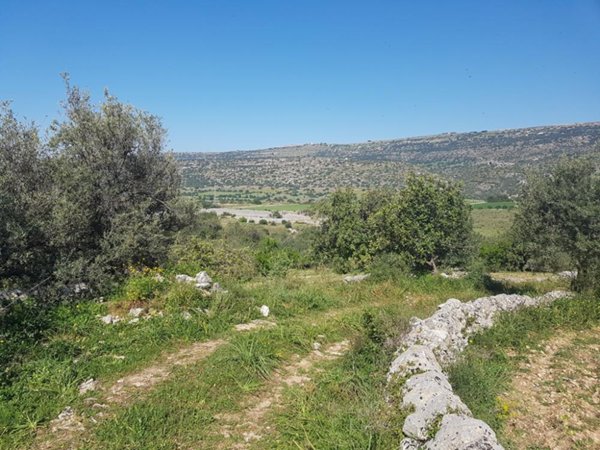 terreno agricolo in vendita a Scicli