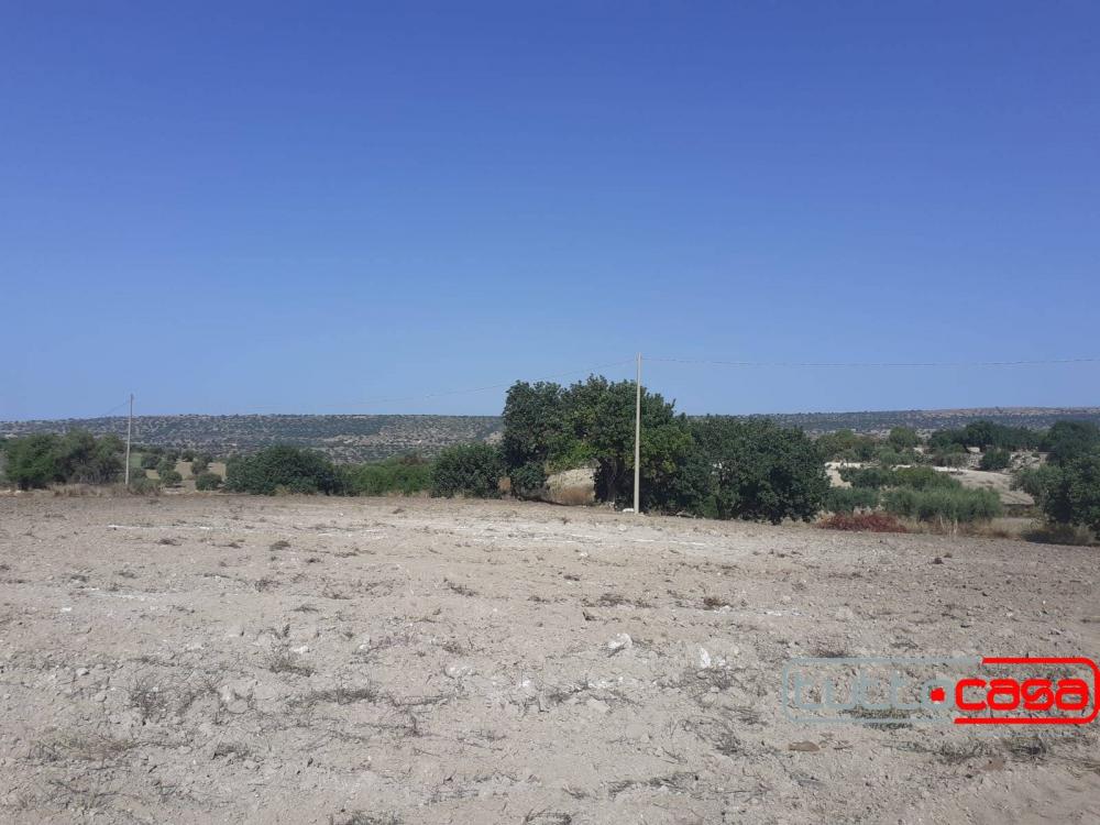 terreno agricolo in vendita a Scicli