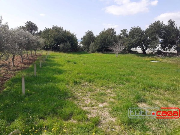 terreno agricolo in vendita a Scicli
