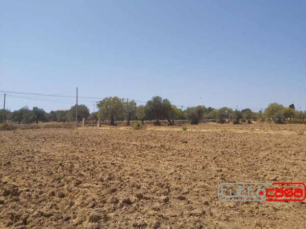 terreno agricolo in vendita a Scicli