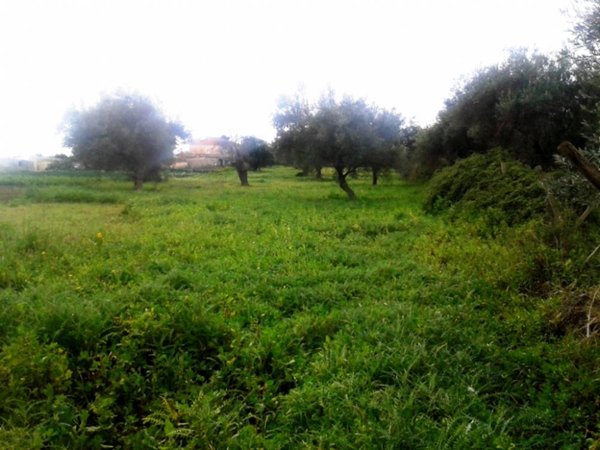 terreno agricolo in vendita a Scicli in zona Sampieri