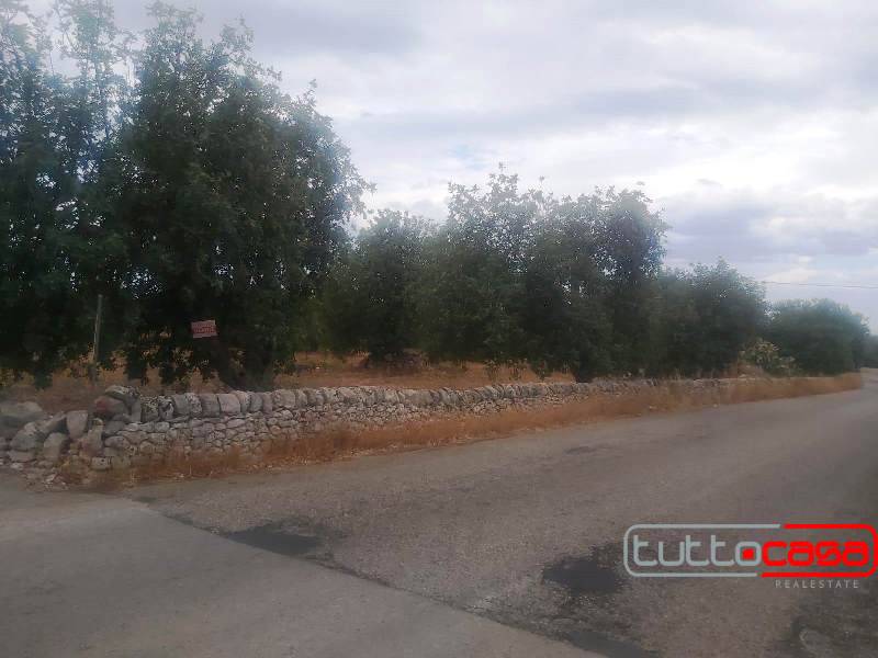 terreno edificabile in vendita a Scicli