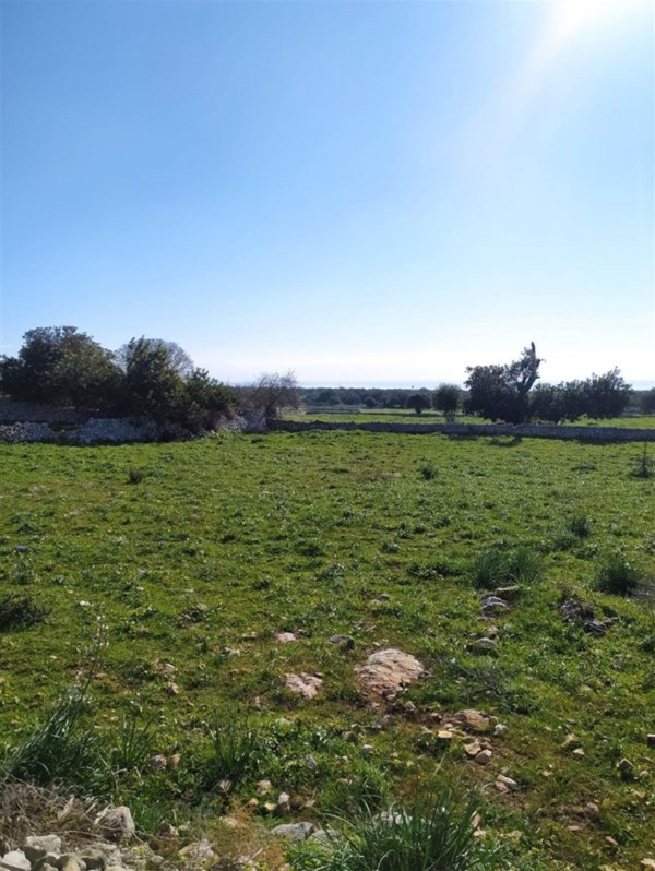 terreno agricolo in vendita a Scicli in zona Sampieri