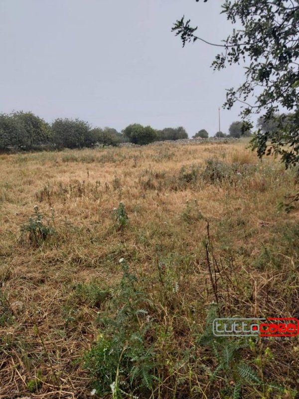 terreno agricolo in vendita a Scicli