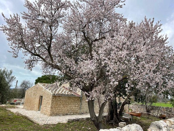 casa indipendente in vendita a Scicli in zona Donnalucata