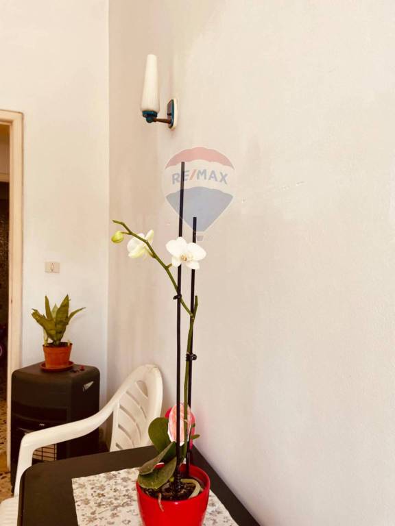 appartamento in vendita a Scicli in zona Donnalucata