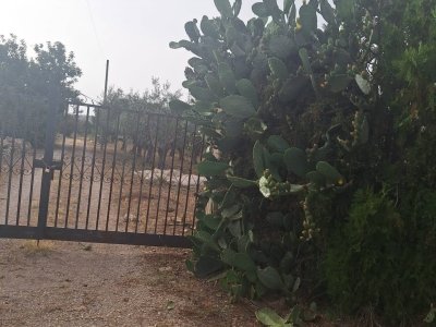 terreno agricolo in vendita a Scicli