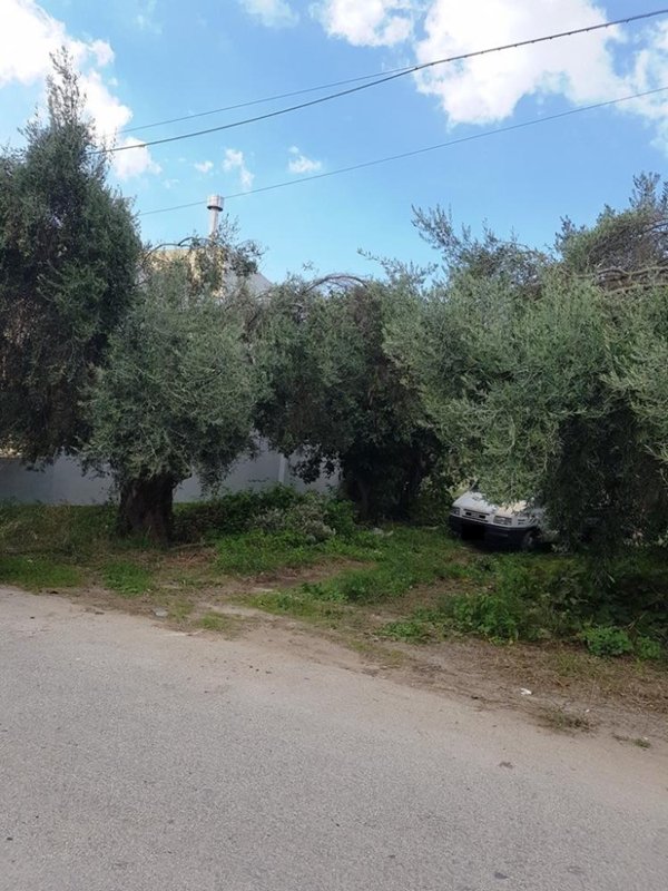 terreno agricolo in vendita a Scicli