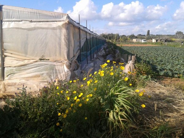 terreno agricolo in vendita a Scicli in zona Cava d'Aliga