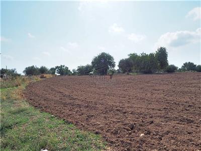 terreno agricolo in vendita a Scicli