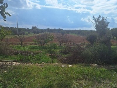 terreno agricolo in vendita a Scicli