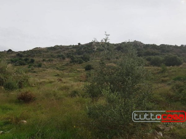 terreno agricolo in vendita a Scicli
