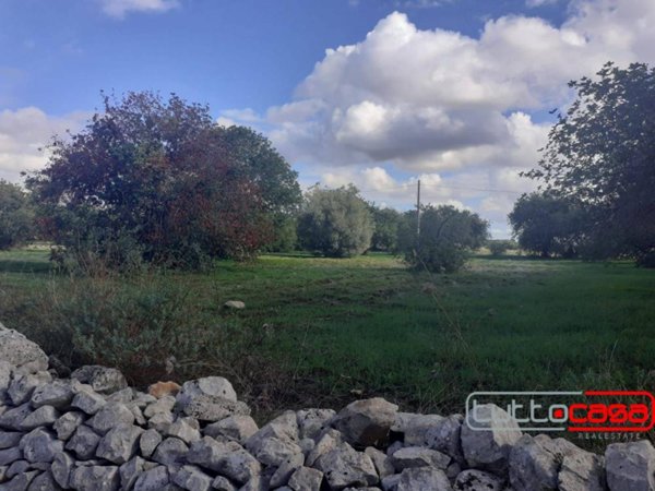 terreno agricolo in vendita a Scicli