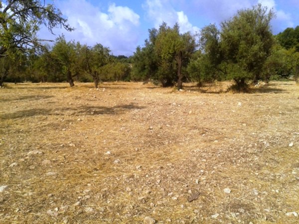 terreno agricolo in vendita a Scicli