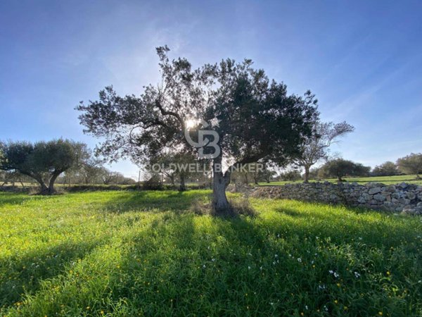 terreno agricolo in vendita a Scicli