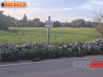 terreno agricolo in vendita a Scicli