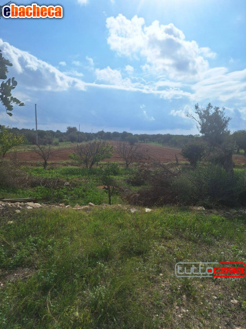 terreno agricolo in vendita a Scicli