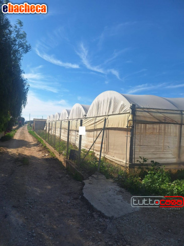 terreno agricolo in vendita a Scicli