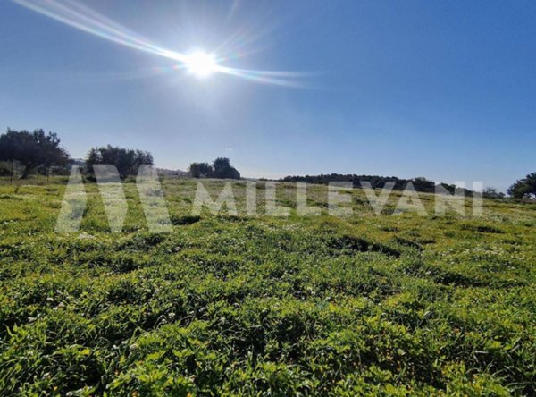 terreno agricolo in vendita a Scicli