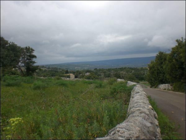 terreno agricolo in vendita a Scicli