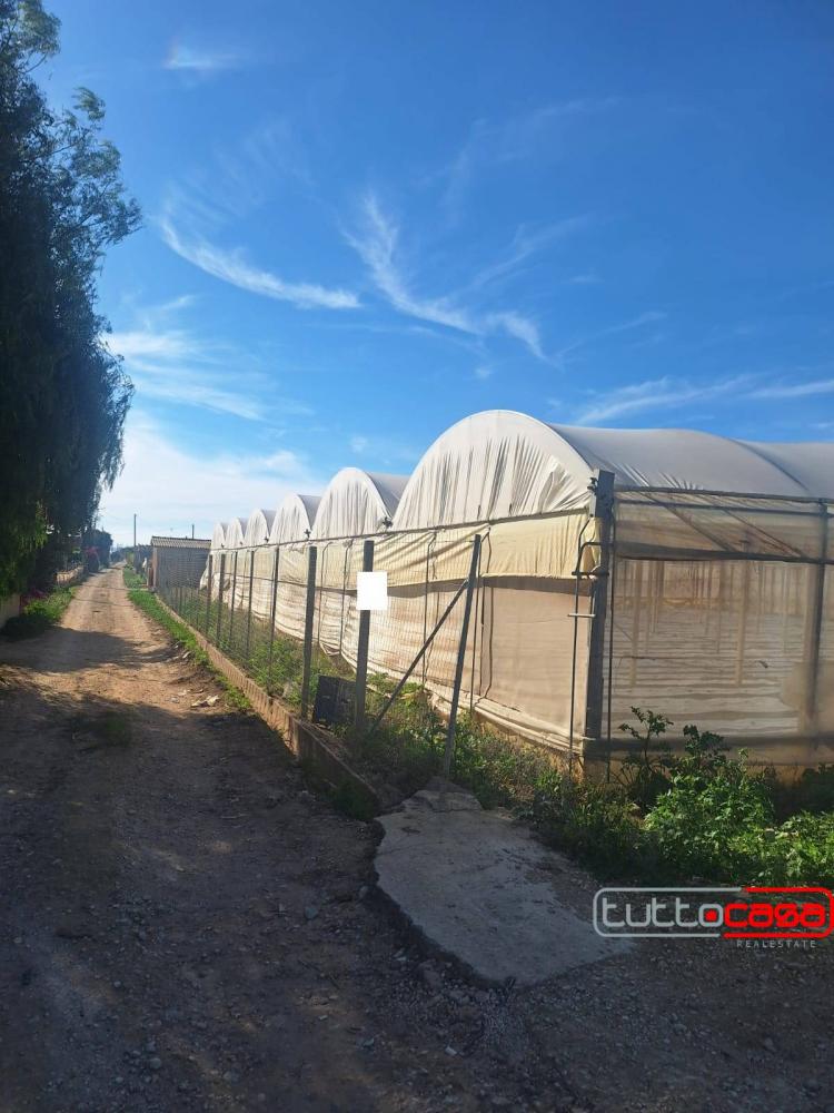terreno agricolo in vendita a Scicli
