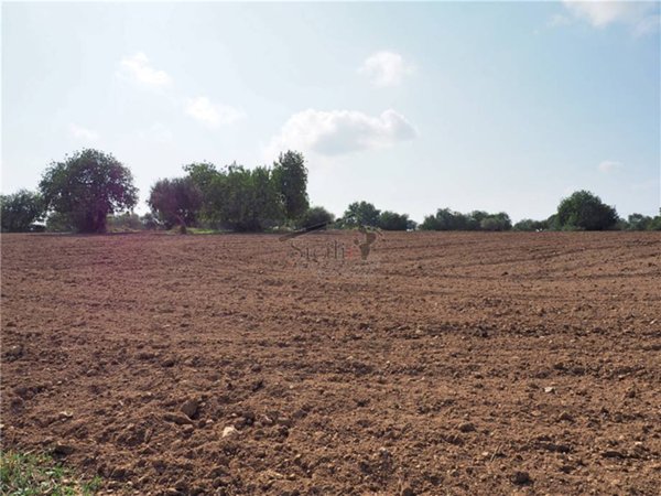 terreno agricolo in vendita a Scicli