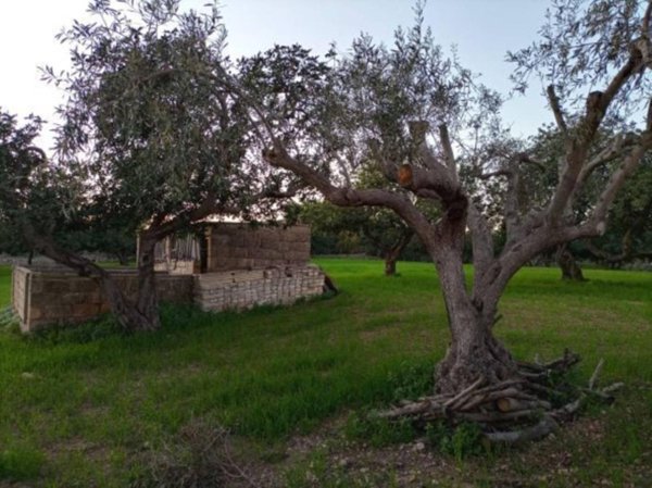 casa indipendente in vendita a Scicli