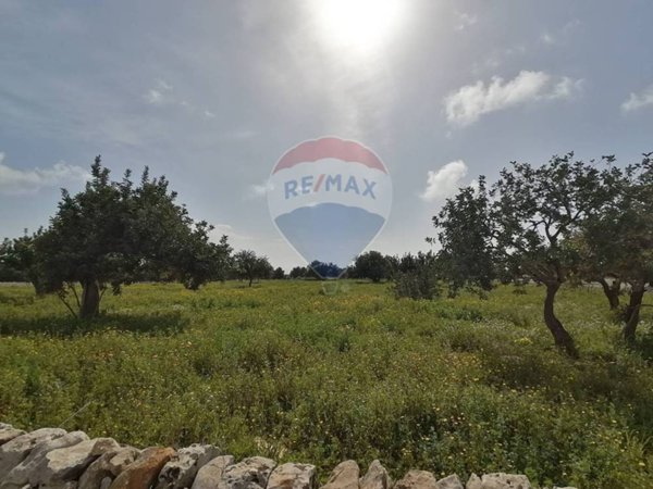 terreno agricolo in vendita a Scicli