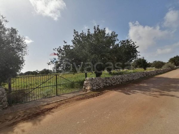 terreno agricolo in vendita a Scicli