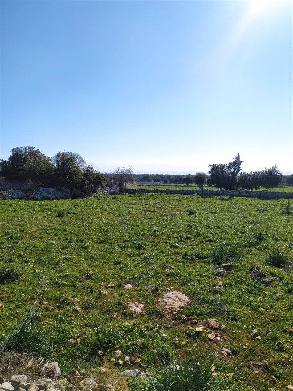 terreno agricolo in vendita a Scicli in zona Sampieri