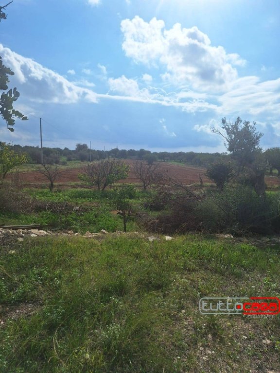 terreno agricolo in vendita a Scicli