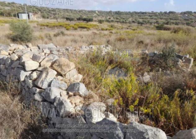 terreno agricolo in vendita a Scicli