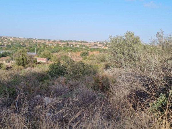 terreno agricolo in vendita a Scicli in zona Cava d'Aliga