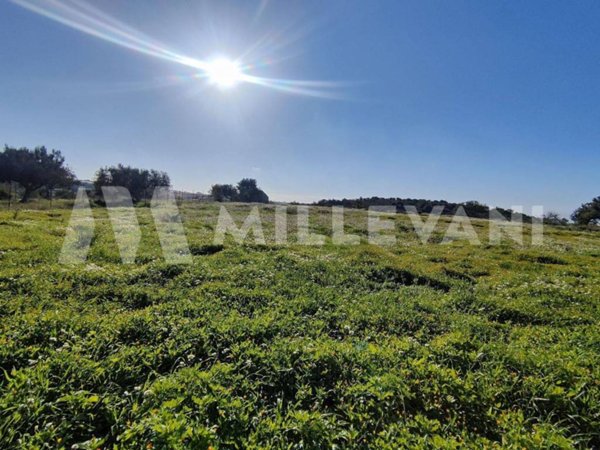 terreno agricolo in vendita a Scicli