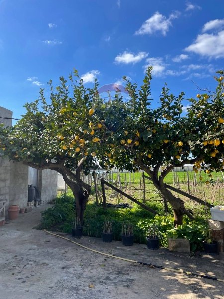 casa indipendente in vendita a Scicli in zona Donnalucata