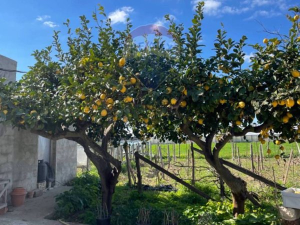 appartamento in vendita a Scicli in zona Donnalucata