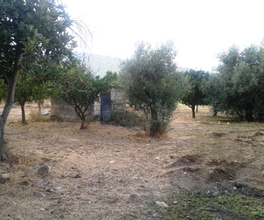 appartamento in vendita a Scicli