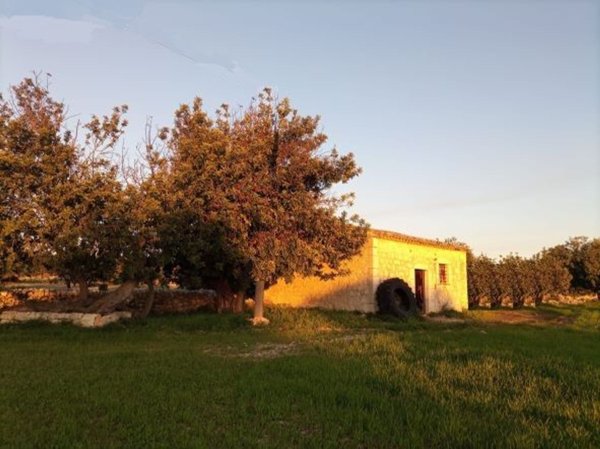 appartamento in vendita a Scicli