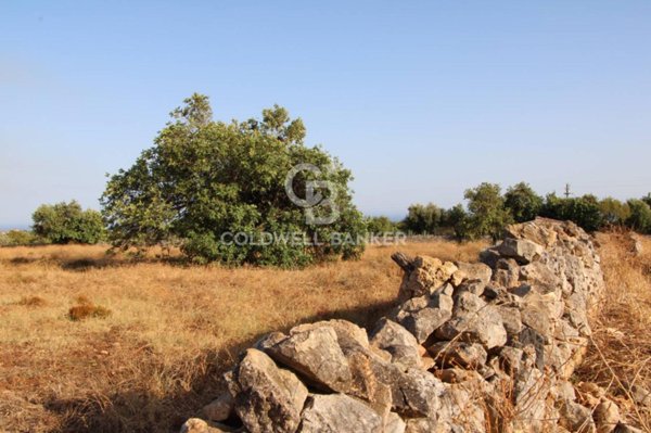 terreno agricolo in vendita a Scicli in zona Cava d'Aliga